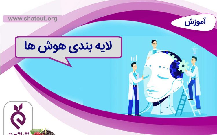 لایه بندی هوش ها