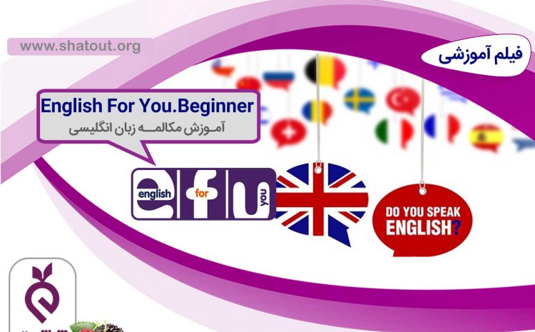 English For You.Beginner