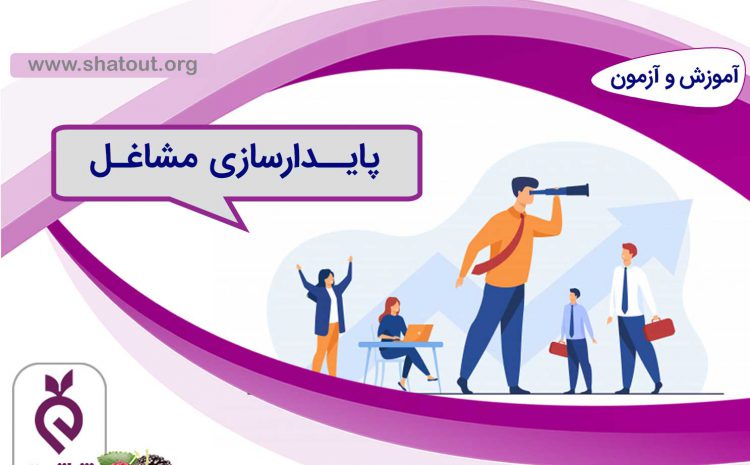 پایداری سازی مشاغل